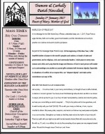 Newsletter-1-January 2017