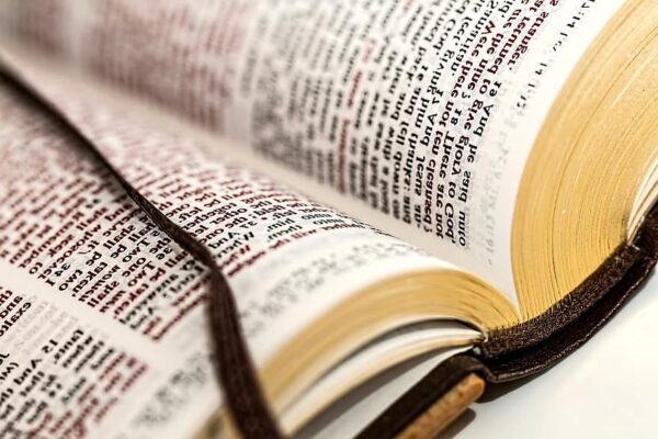 Online Scripture Course